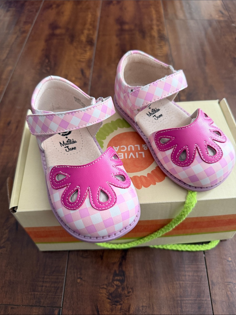 Livie and Luca Collab with Matilda Jane Pink Gingham Mary Jane Shoes